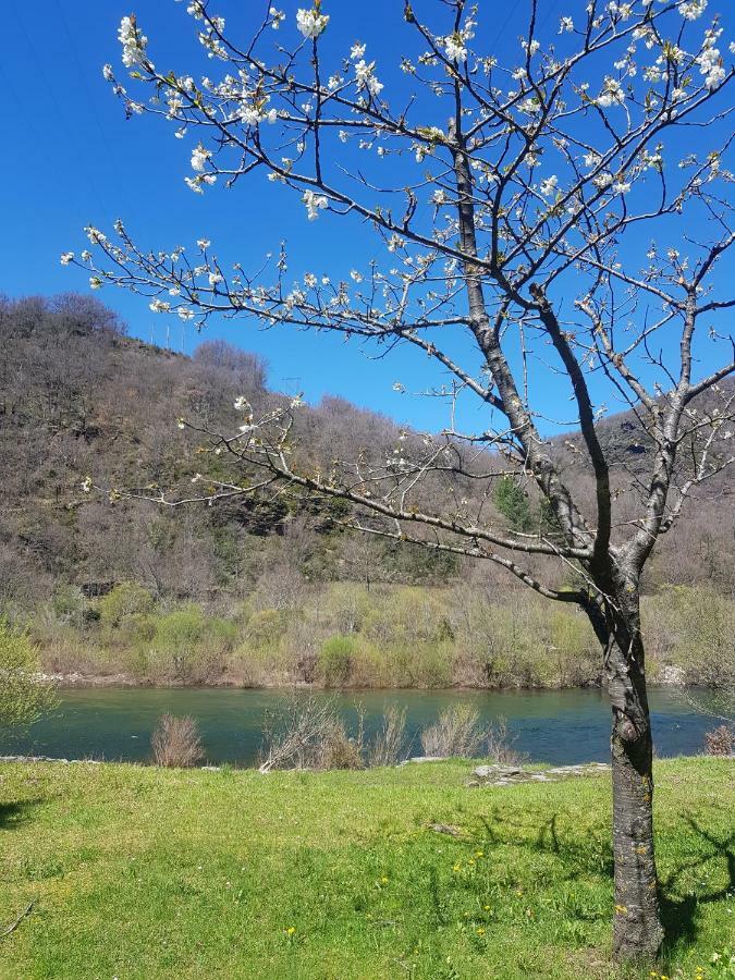 Loz'Aire Naturelle Hotel Quezac  Kültér fotó